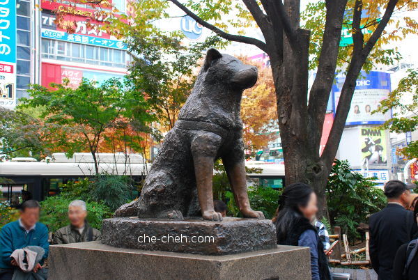 Hachiko Statue @ Shibuya, Tokyo